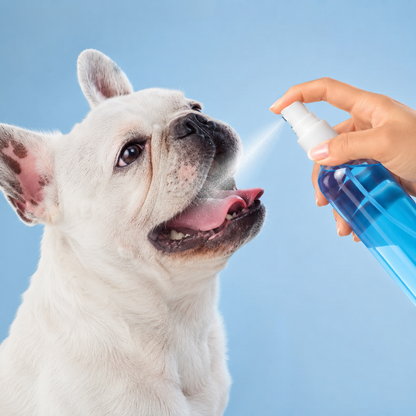 OralPet | Spray Bucal Para Mascotas