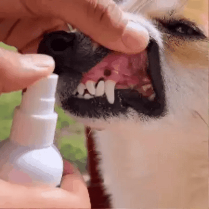 OralPet | Spray Bucal Para Mascotas